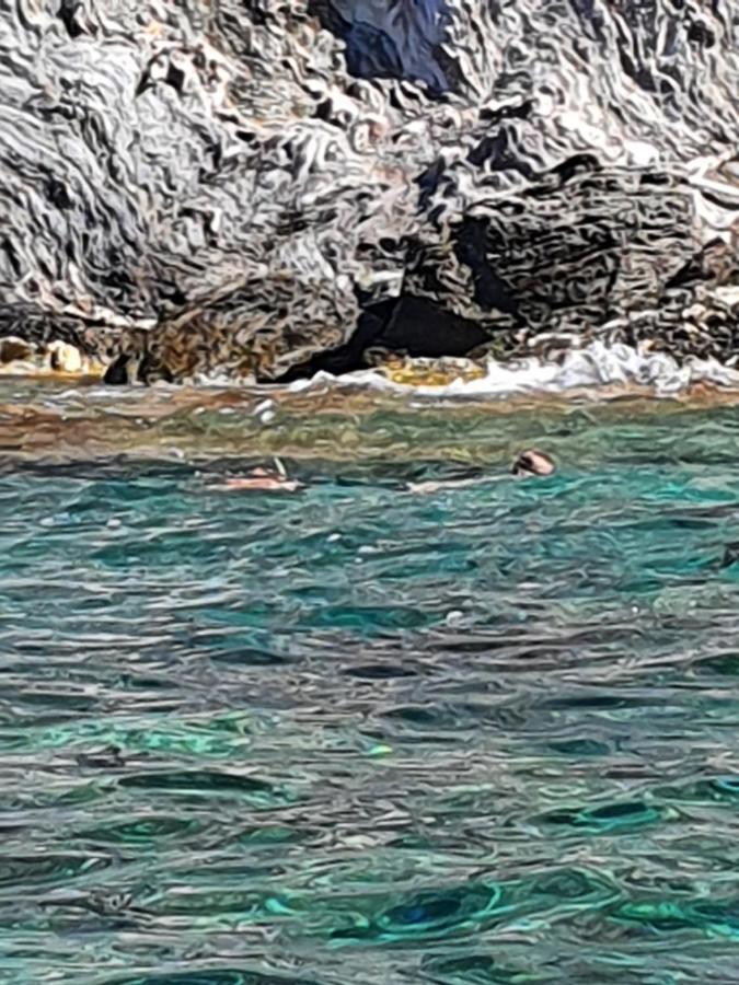 Porquerolles - Nuit Insolite A Bord Du Defi Fou エクステリア 写真